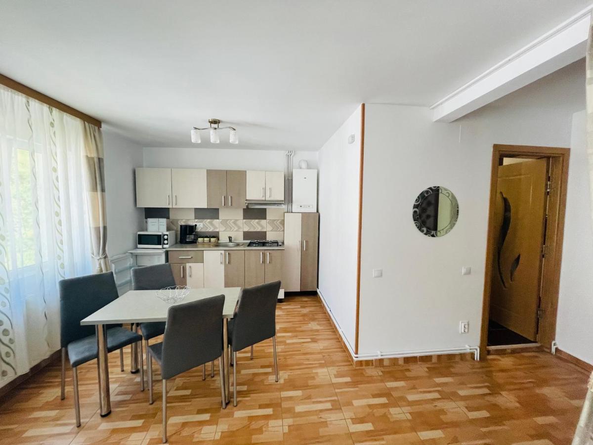 Garsoniera Family Apartment Buşteni Екстериор снимка