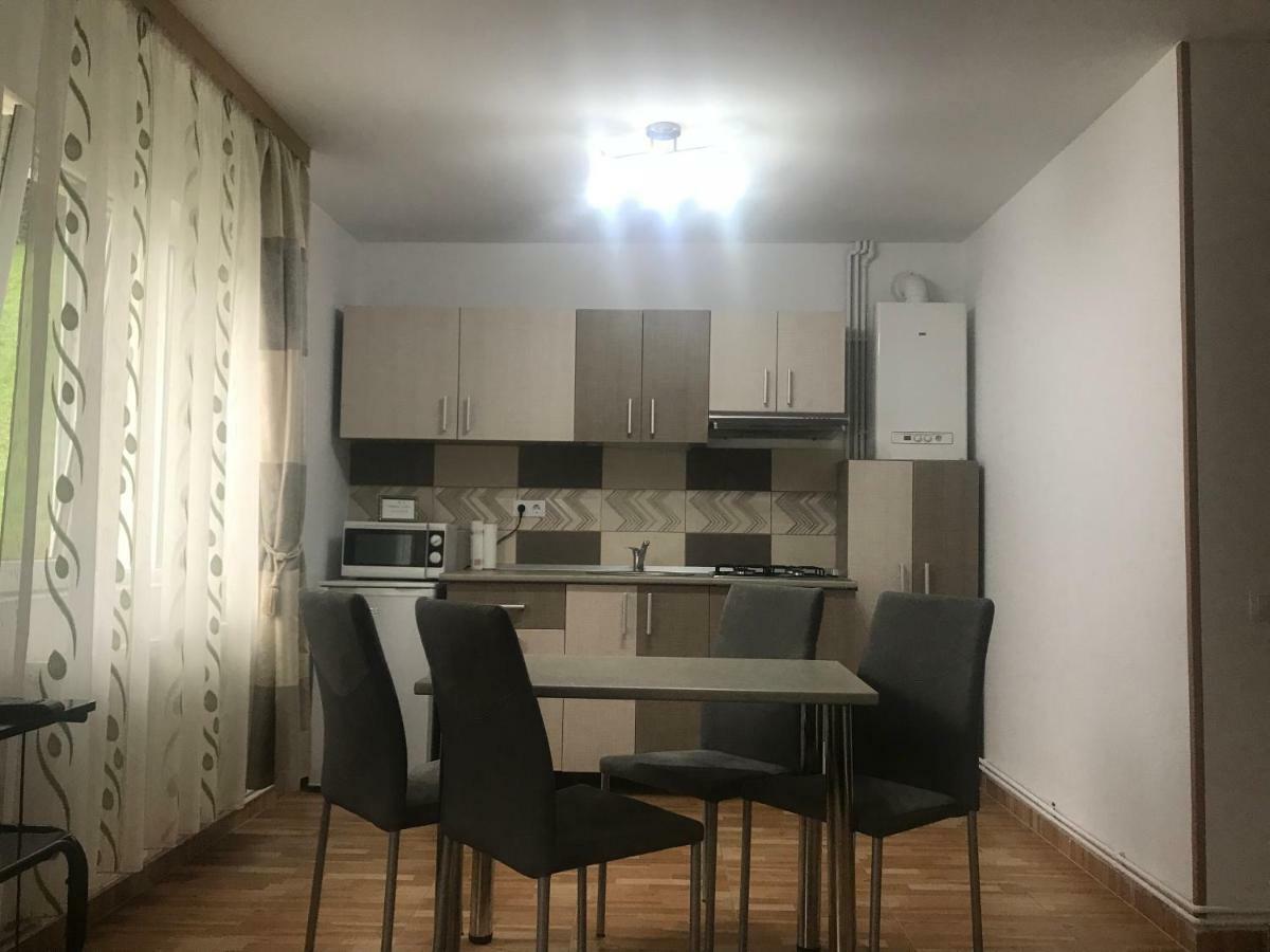 Garsoniera Family Apartment Buşteni Екстериор снимка