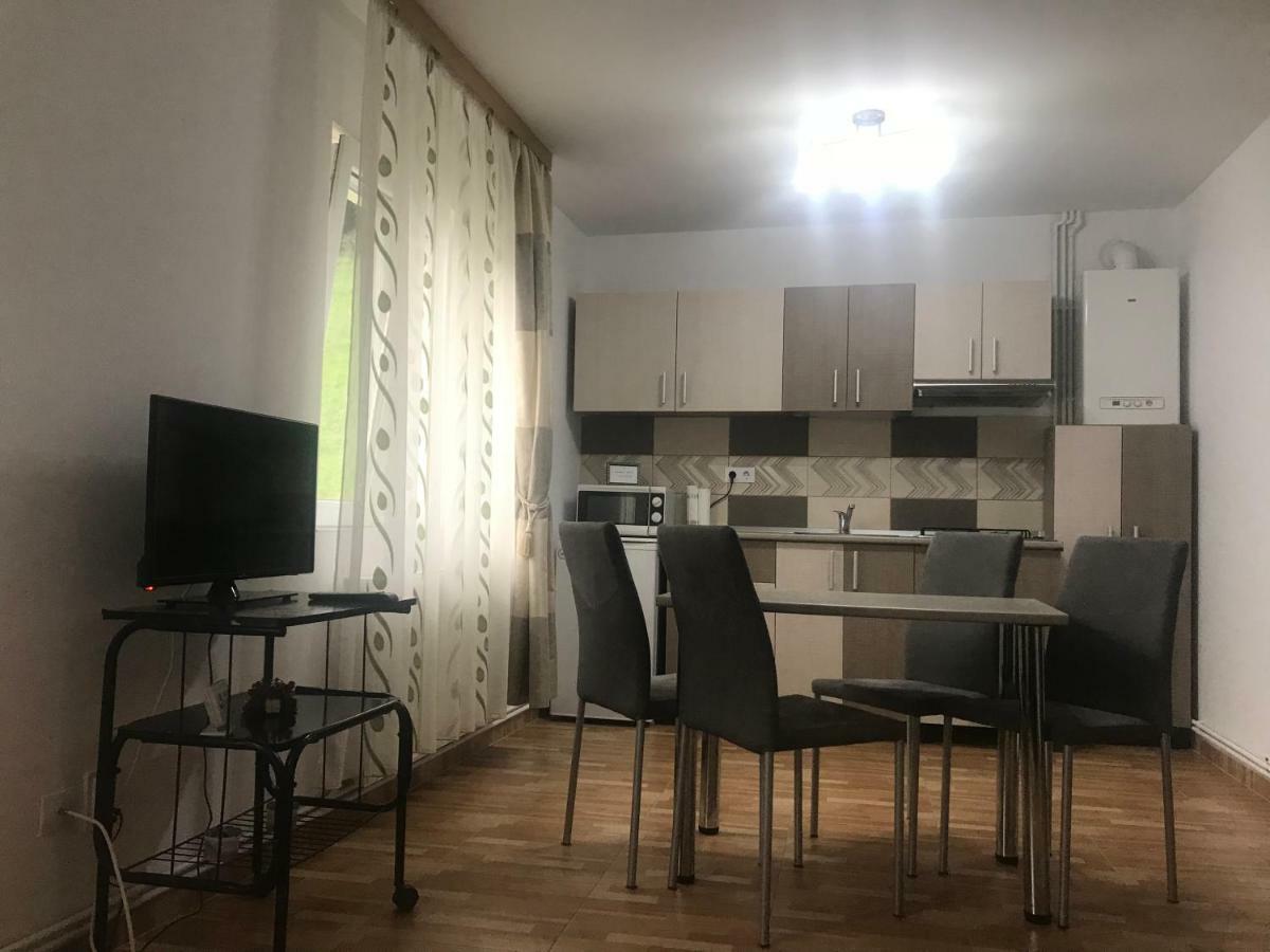 Garsoniera Family Apartment Buşteni Екстериор снимка