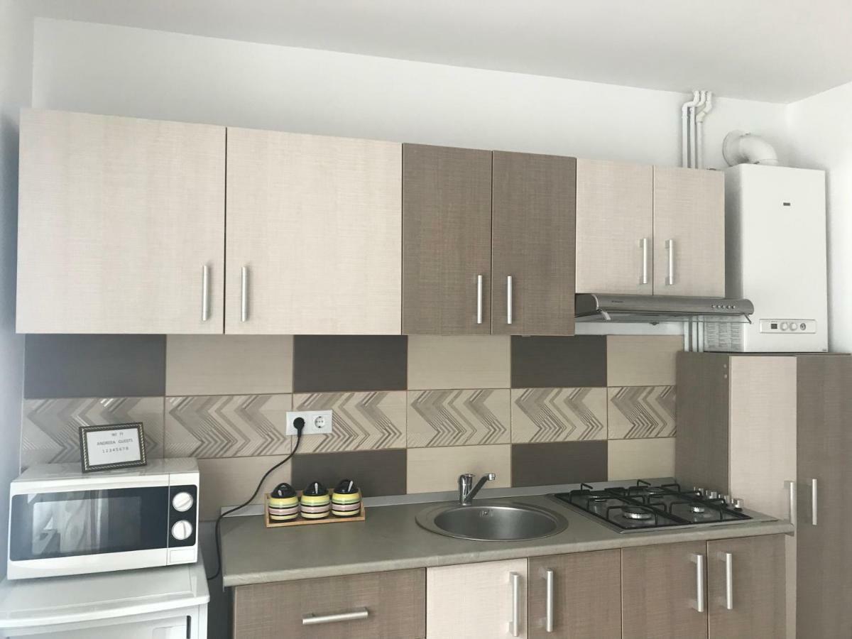 Garsoniera Family Apartment Buşteni Екстериор снимка